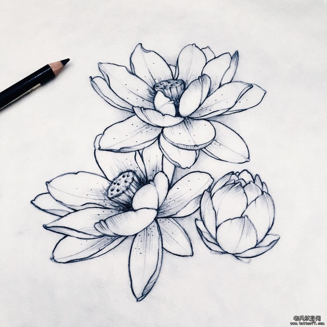莲花黑灰纹身传统图案手稿