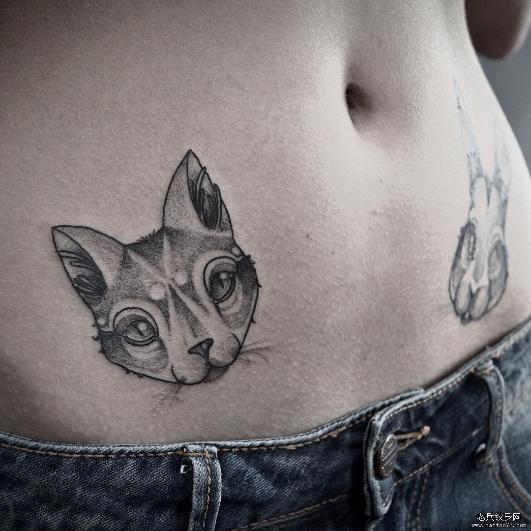黑灰小清新可爱猫腹部纹身图案