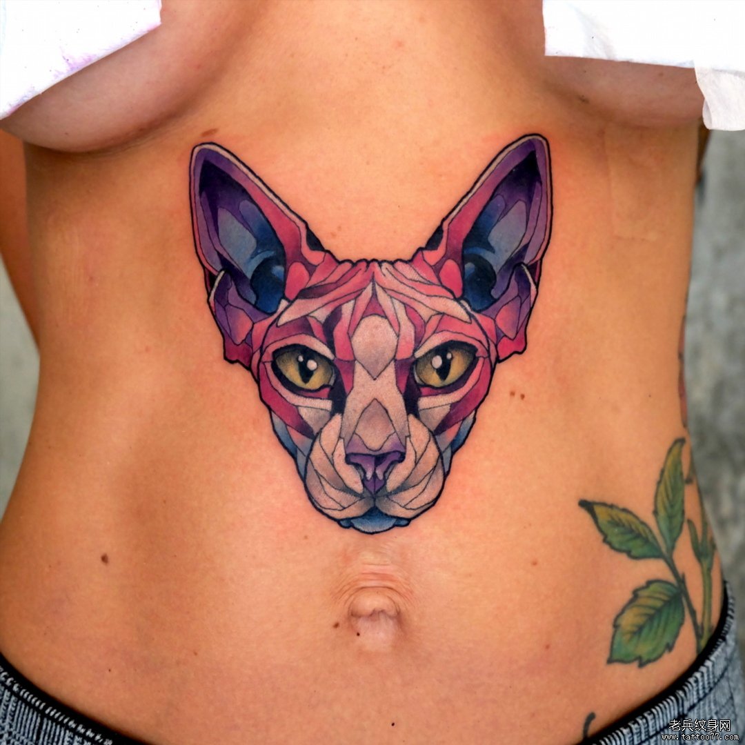 彩色腹部欧美猫纹身图案