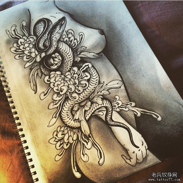 传统蛇菊花纹身图案黑灰手稿