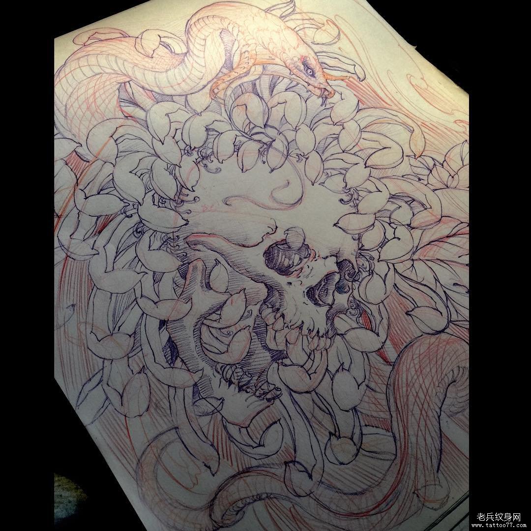传统蛇骷髅菊花纹身图案手稿