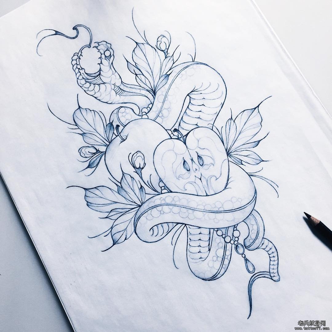 欧美蛇苹果纹身图案线稿