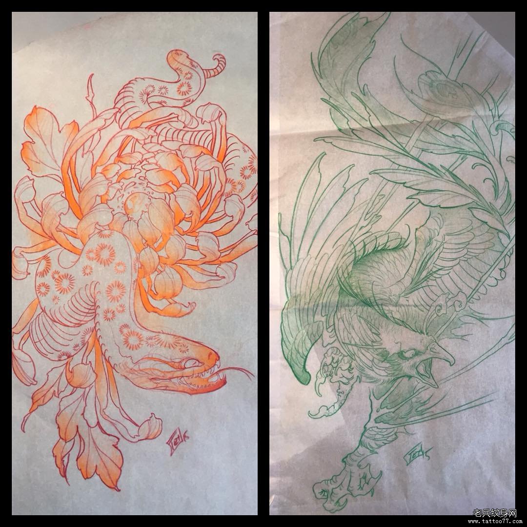 蛇菊花纹身图案手稿