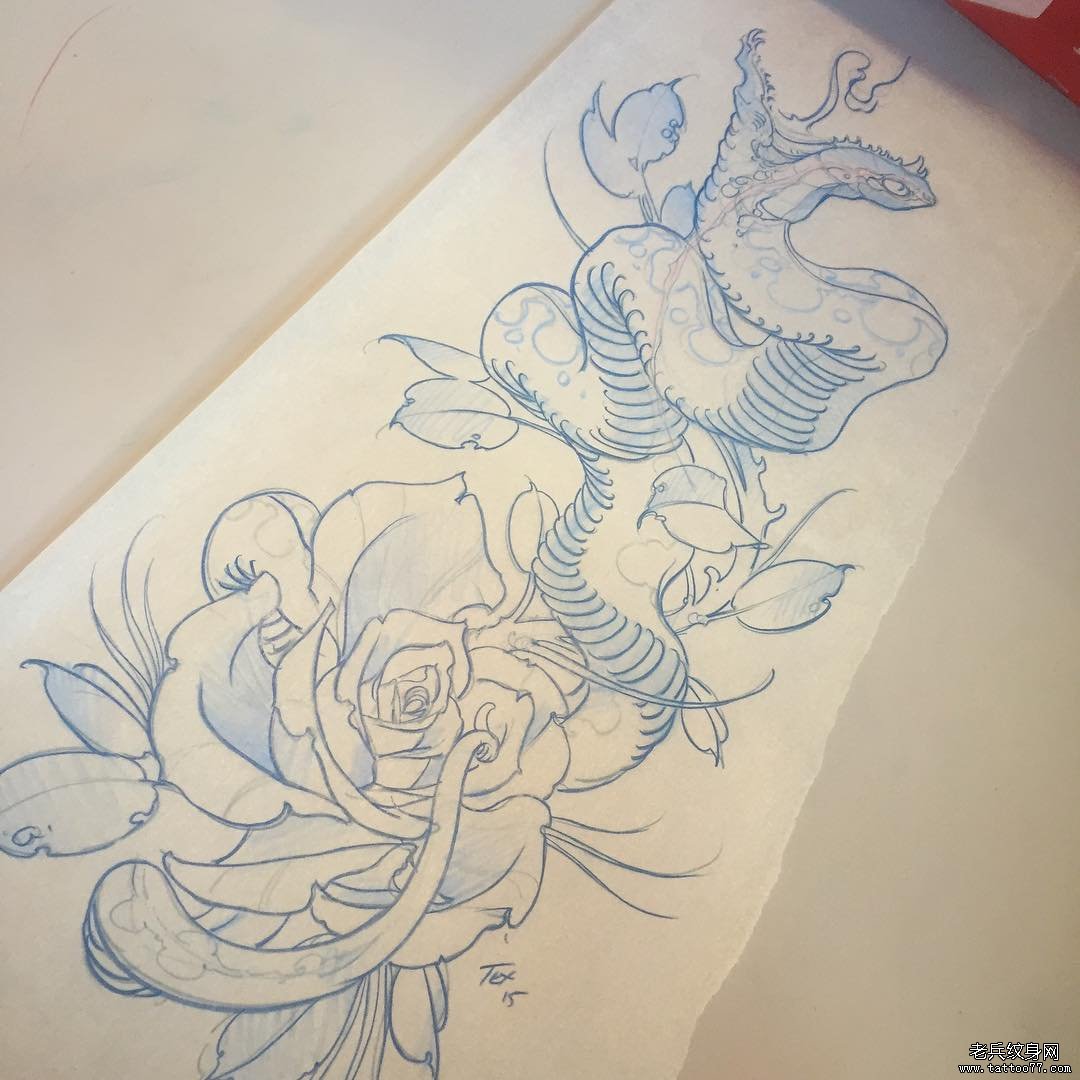 玫瑰蛇欧美图案纹身线稿