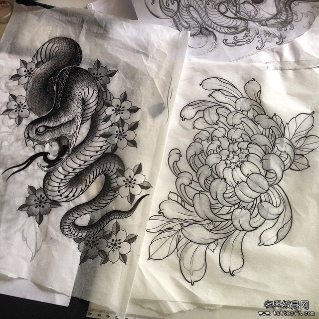 黑灰蛇菊花传统纹身图案线稿