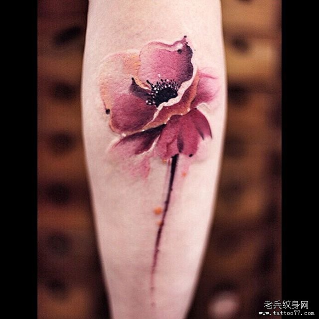 小腿彩色花卉纹身欧美图案