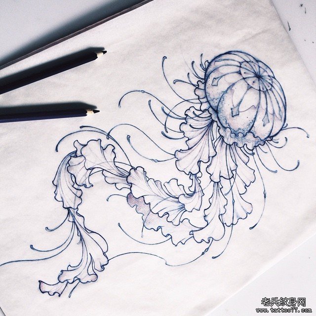 水母欧美纹身图案线稿