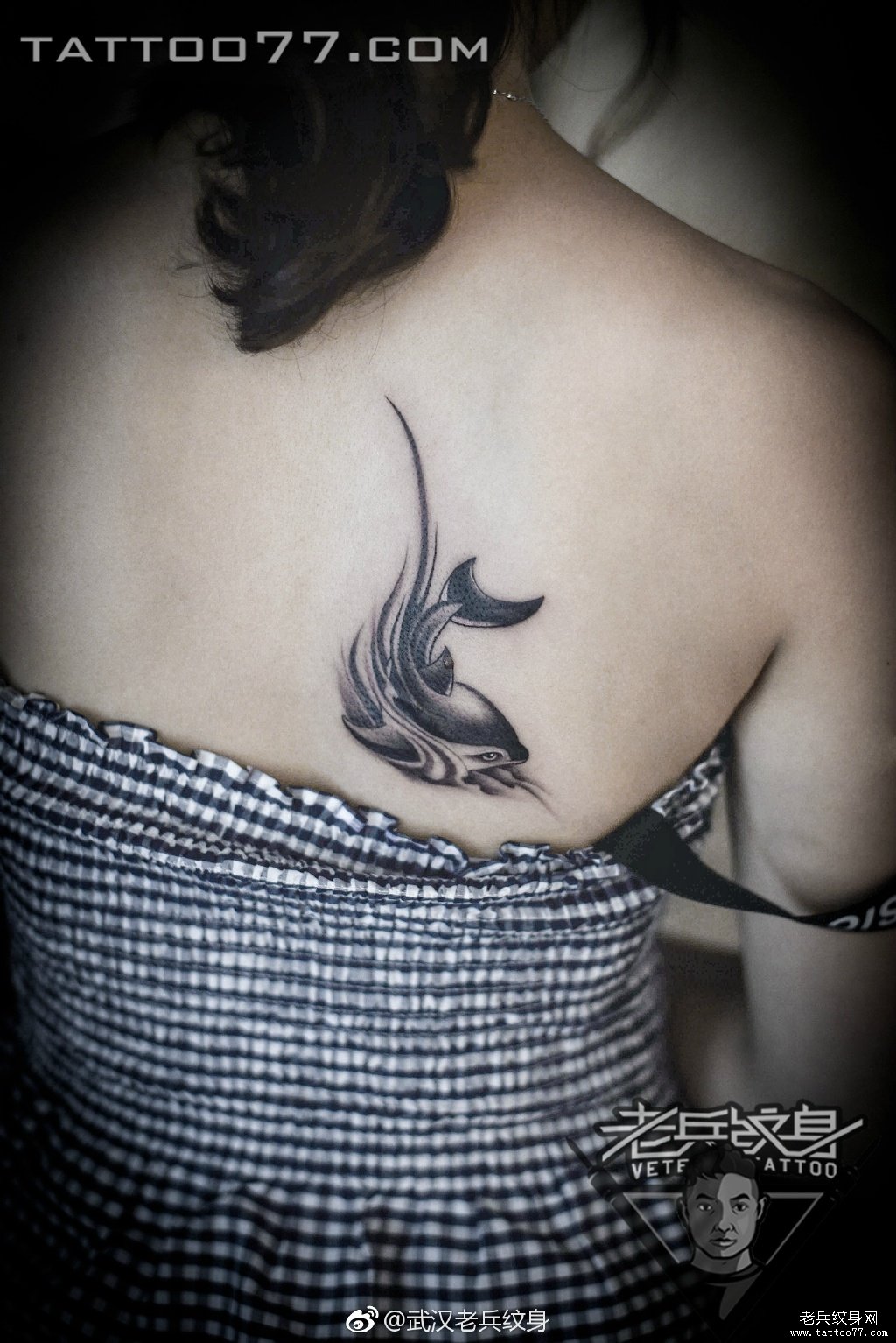 肩胛海豚纹身图案作品
