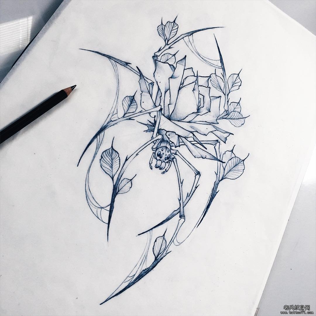 欧美蜘蛛玫瑰花卉纹身图案