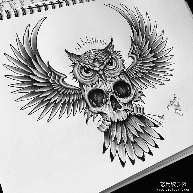 黑灰猫头鹰骷髅纹身图案手稿
