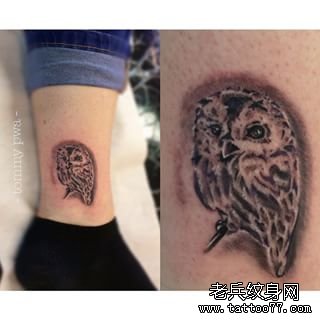 脚踝黑灰猫头鹰欧美纹身图案