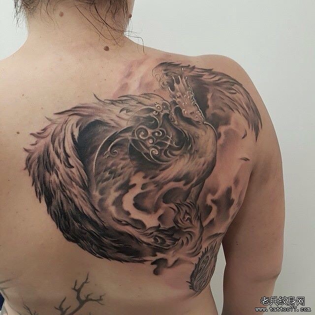 黑灰背部孔雀纹身图案