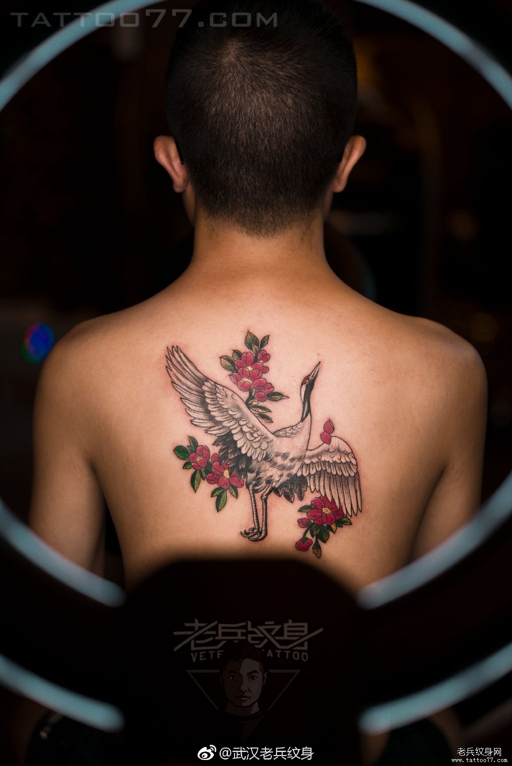 背部仙鹤纹身图案作品