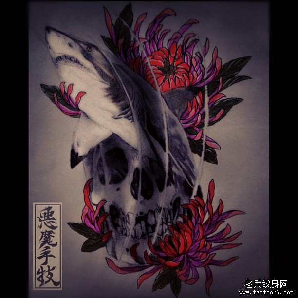 鲨鱼菊花骷髅纹身图案手稿