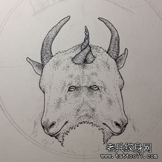 点刺黑灰羊头欧美纹身图案手稿