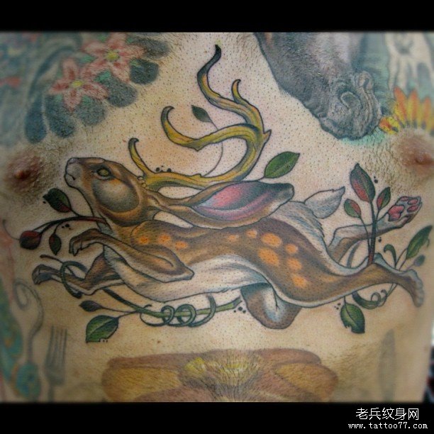 腹部欧美鹿纹身图案