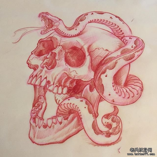 欧美骷髅纹身图案蛇手稿