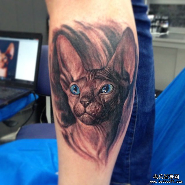 小腿欧美猫纹身图案