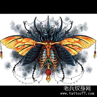 欧美彩色昆虫纹身图案手稿