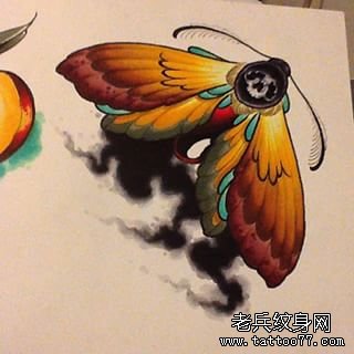 彩色欧美飞蛾school纹身图案手稿