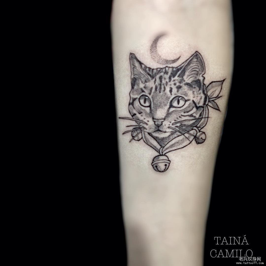手臂黑灰猫咪纹身图案