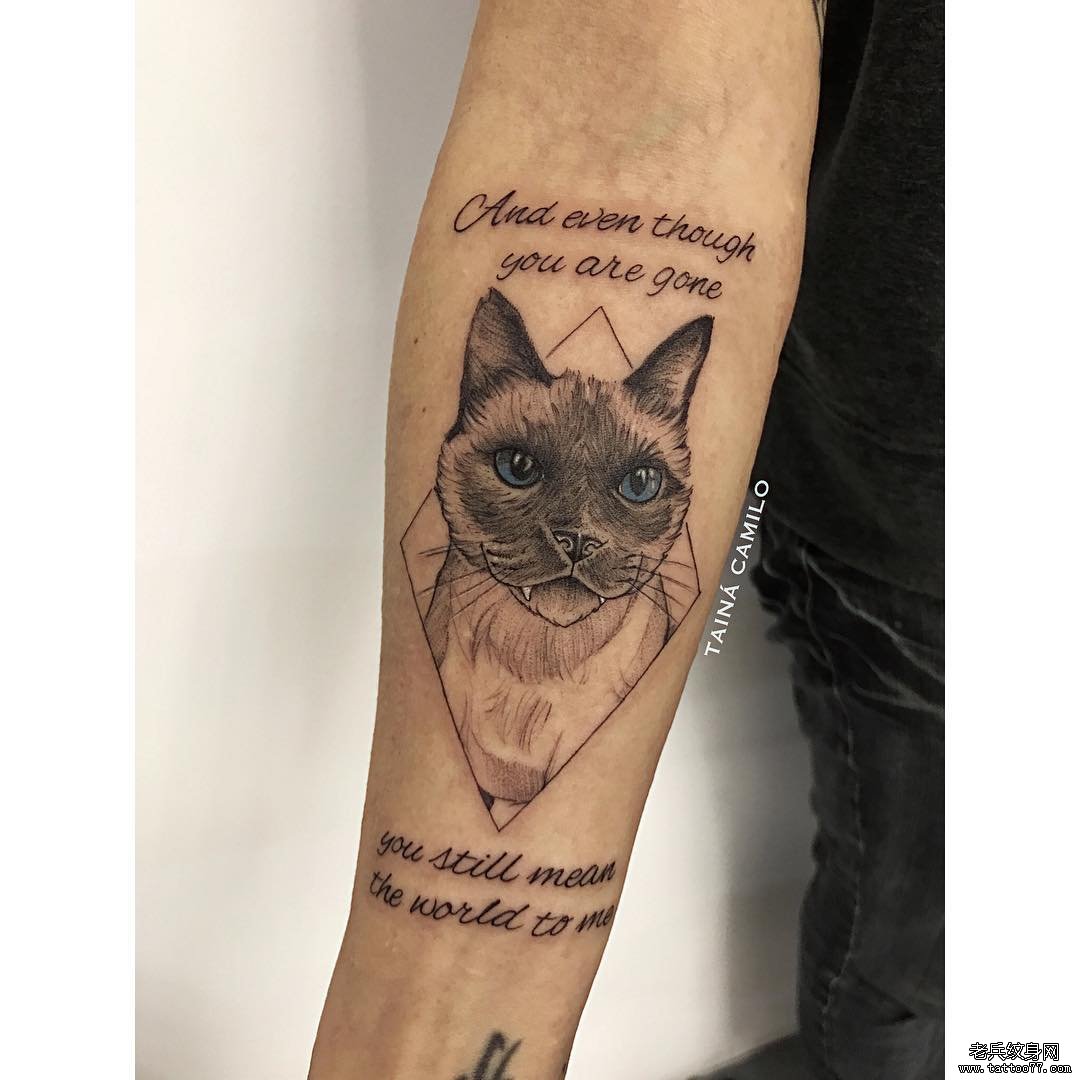 手臂猫咪纹身图案