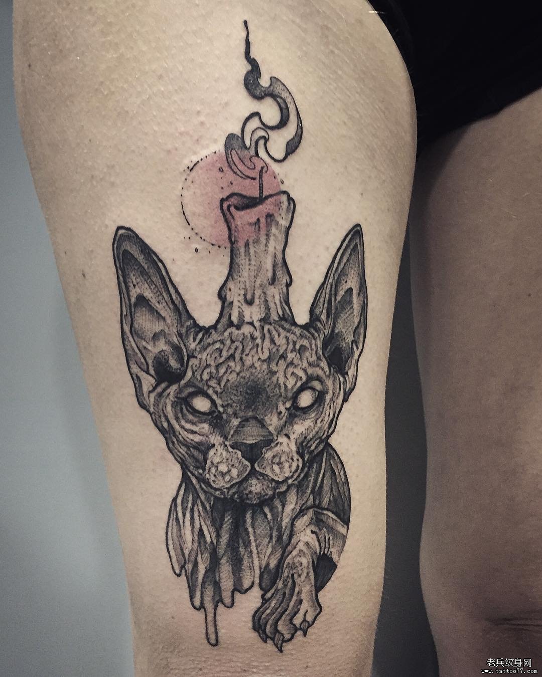 腿部点刺无毛猫纹身图案