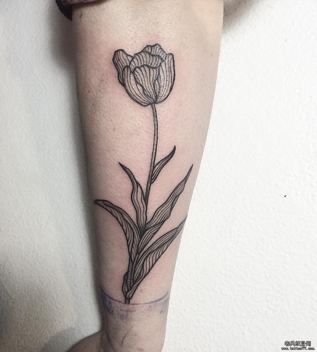手臂花朵线条传统纹身图片