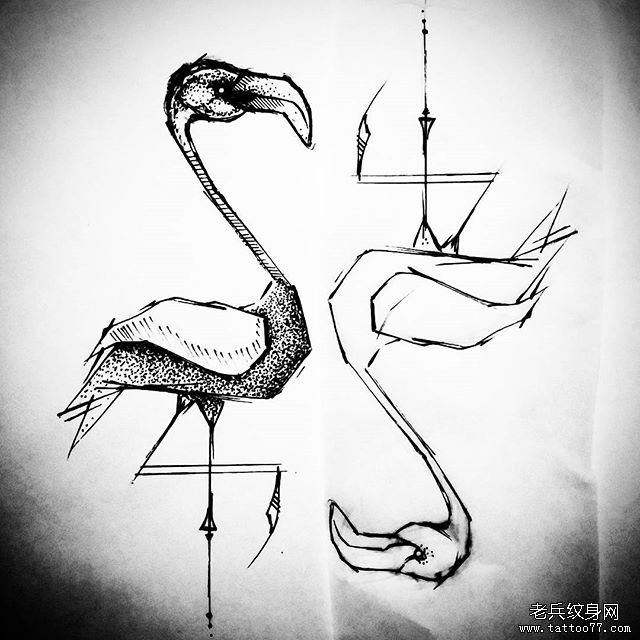 小清新火烈鸟动物速写纹身图片