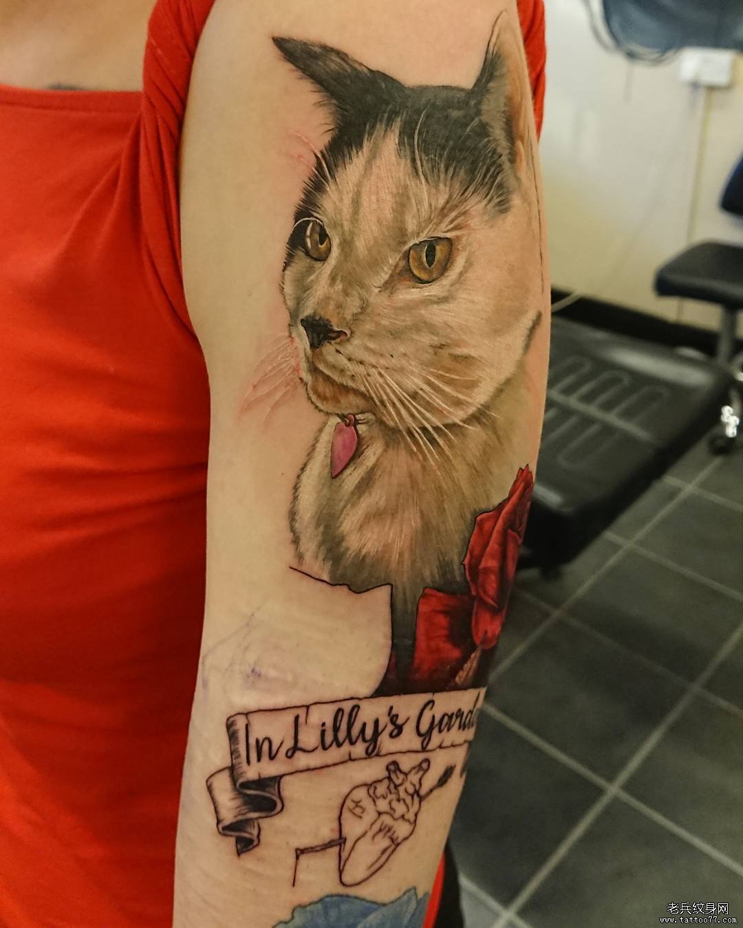 手臂猫咪纹身图案