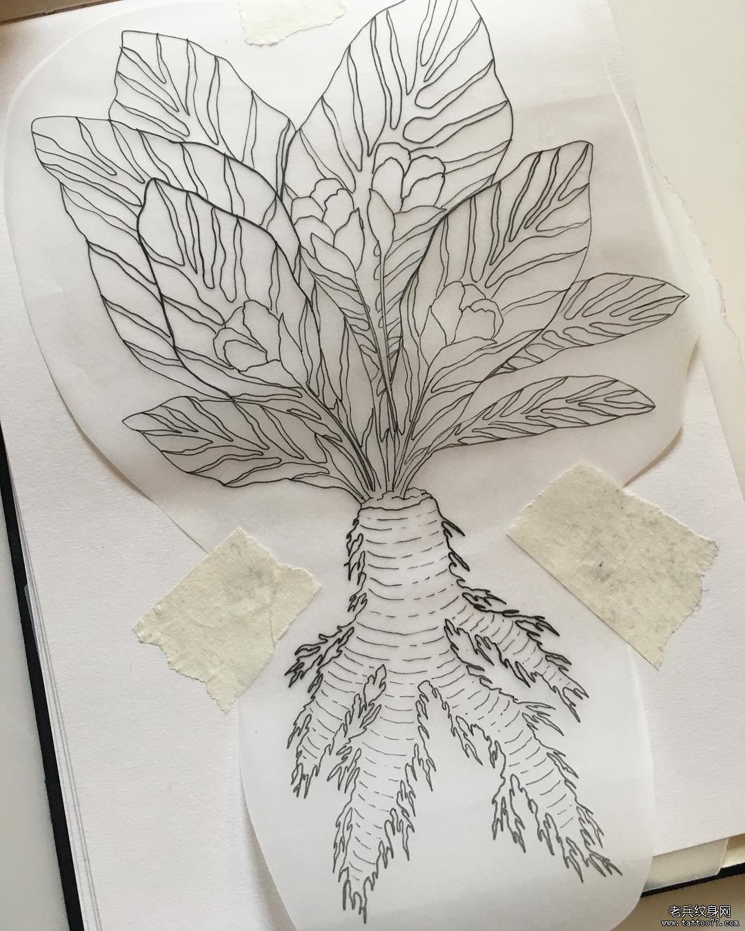 线条花藤纹身图案