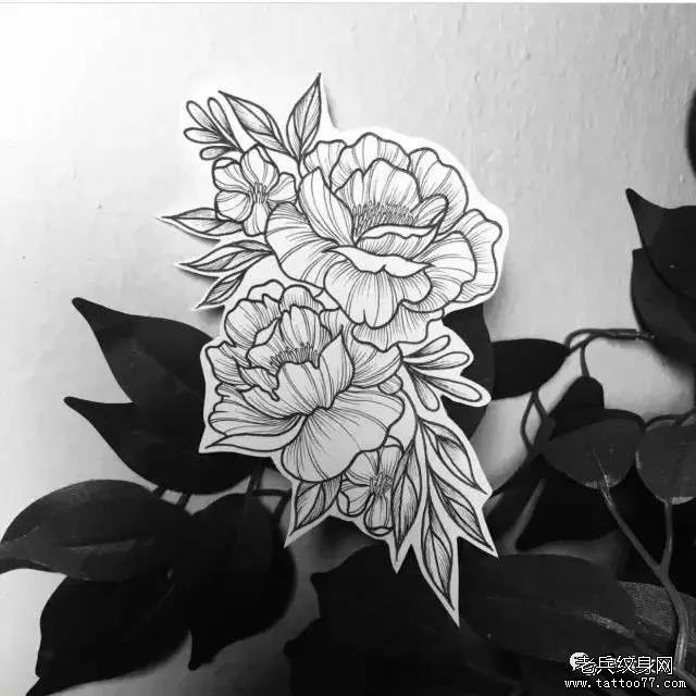 植物花藤纹身图案