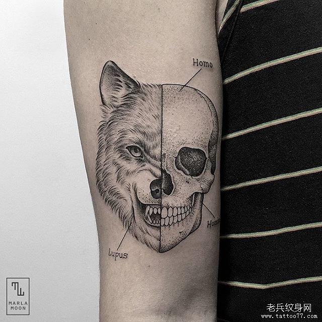 手臂狼骷髅动物黑灰欧美纹身图片