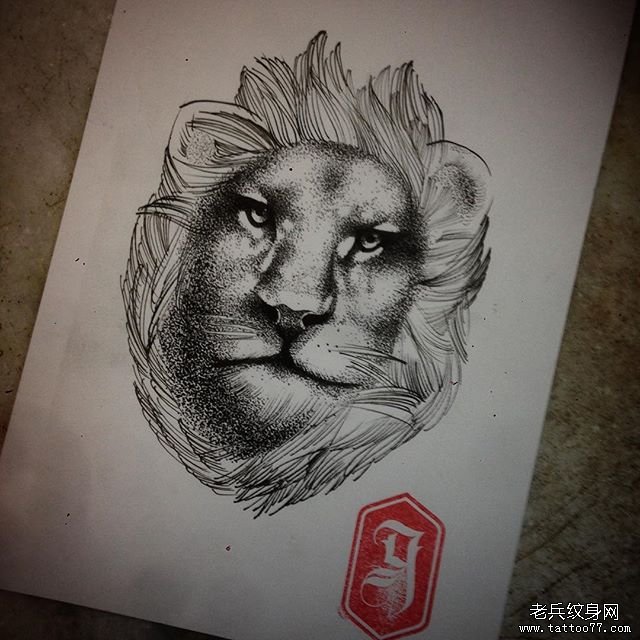 动物狮子纹身图片