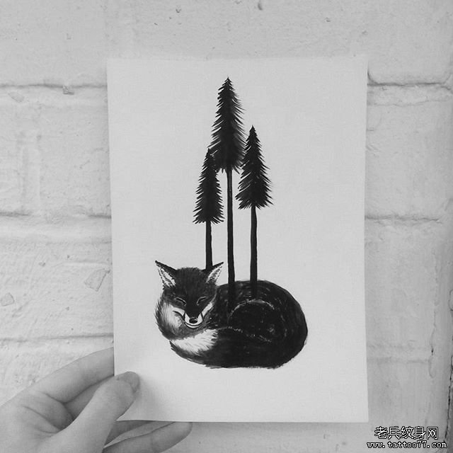 小清新猫咪纹身图片