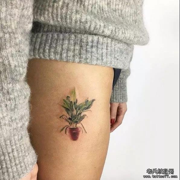 侧腰植物纹身图案