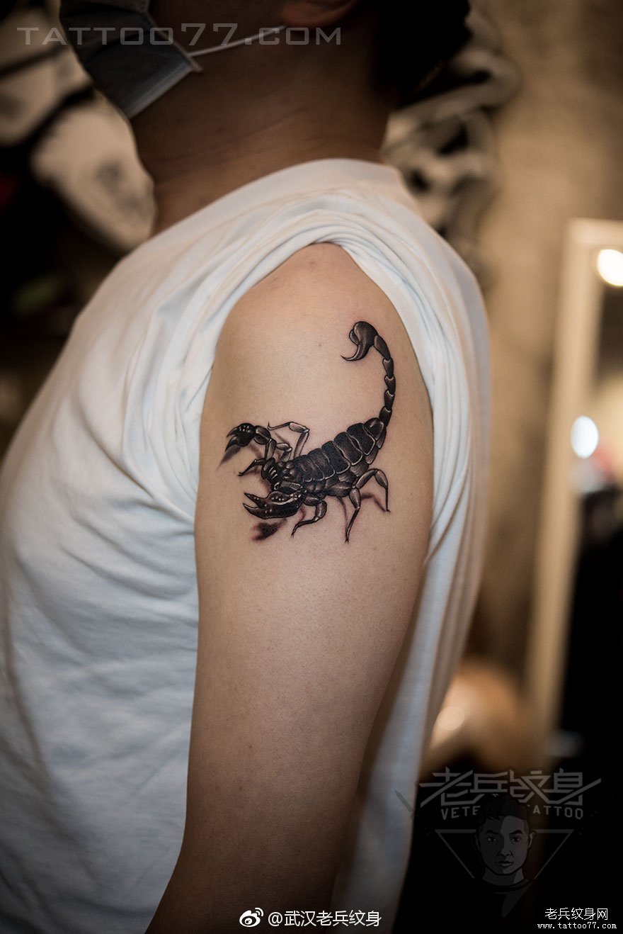 手臂蝎子纹身图案作品