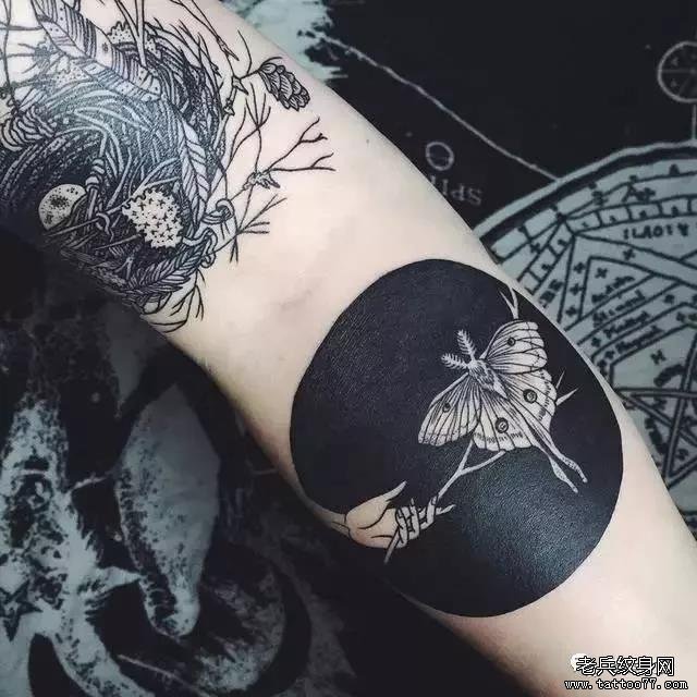 手臂蝴蝶纹身图案
