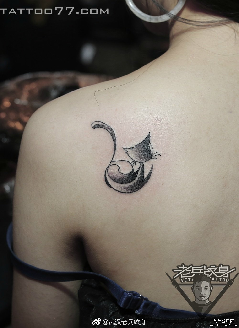 背部小猫纹身图案作品
