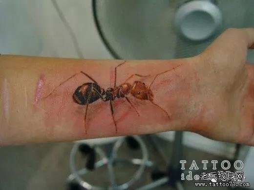 手腕蚂蚁纹身图案