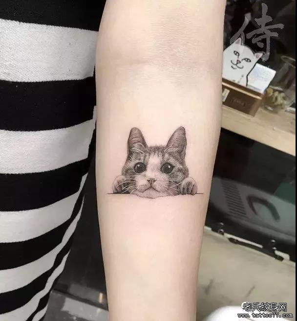 手臂猫咪纹身图案