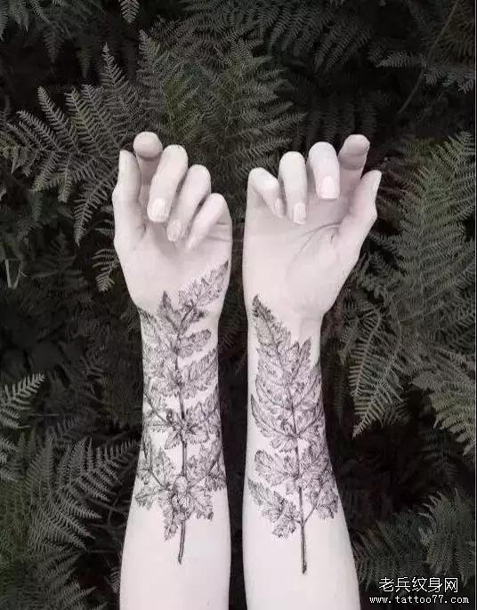 手臂树纹身图案