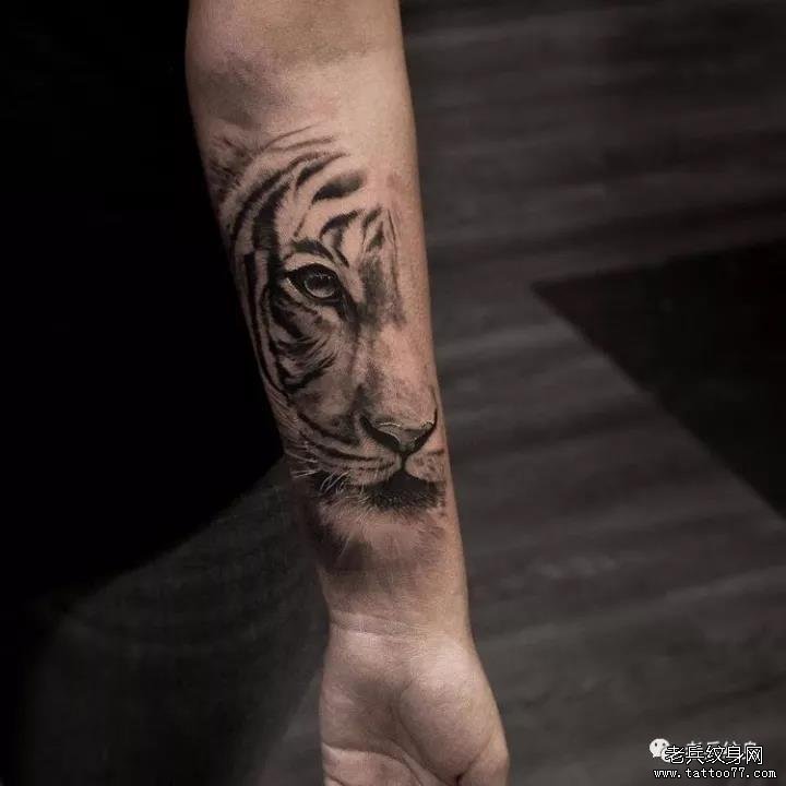 小臂老虎纹身图案