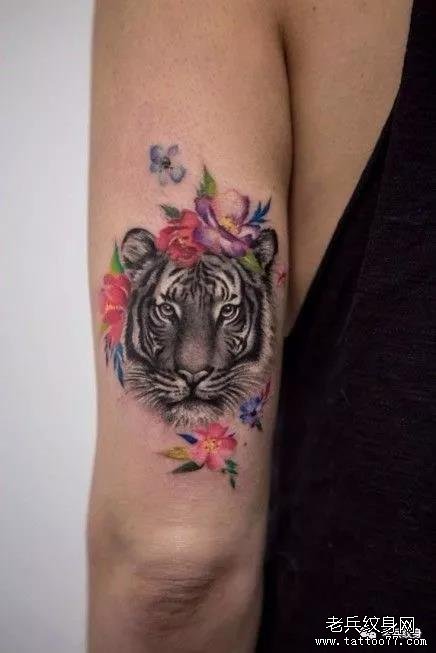 手臂老虎花藤纹身图案