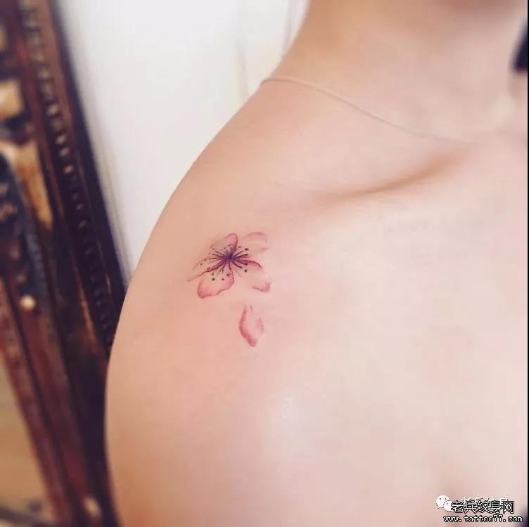 锁骨小清新樱花纹身图案