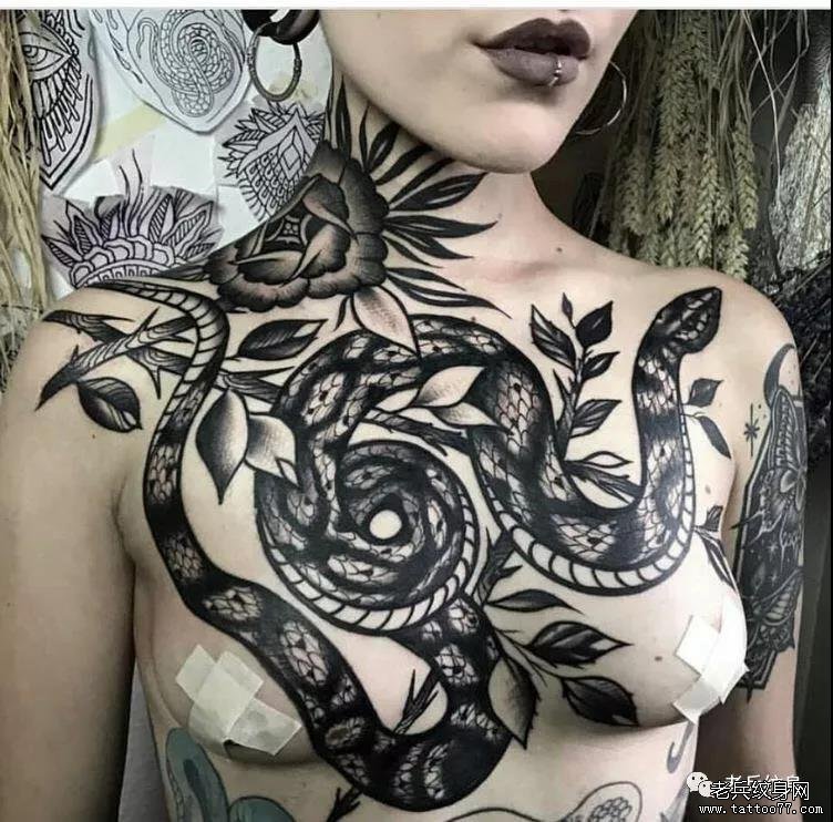 花胸蛇花藤纹身图案