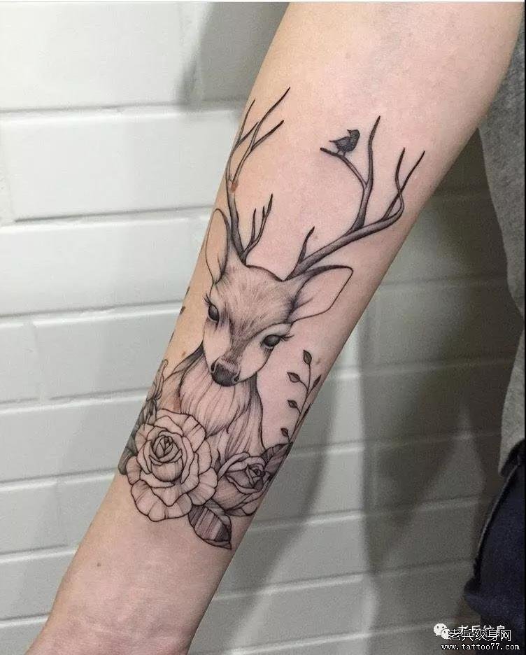 手臂素描鹿玫瑰纹身图案