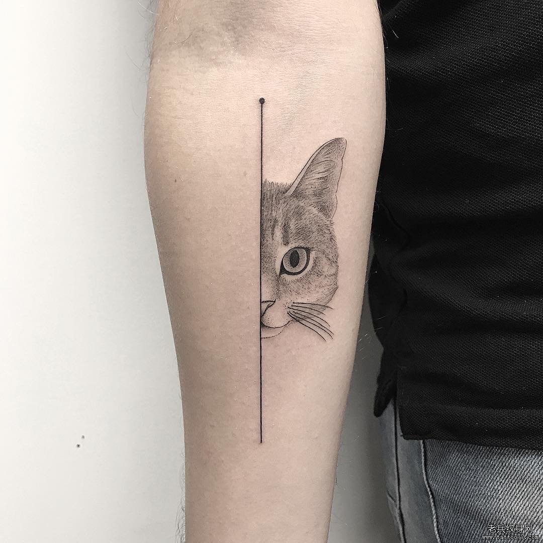 小猫点刺线条胳膊纹身图案