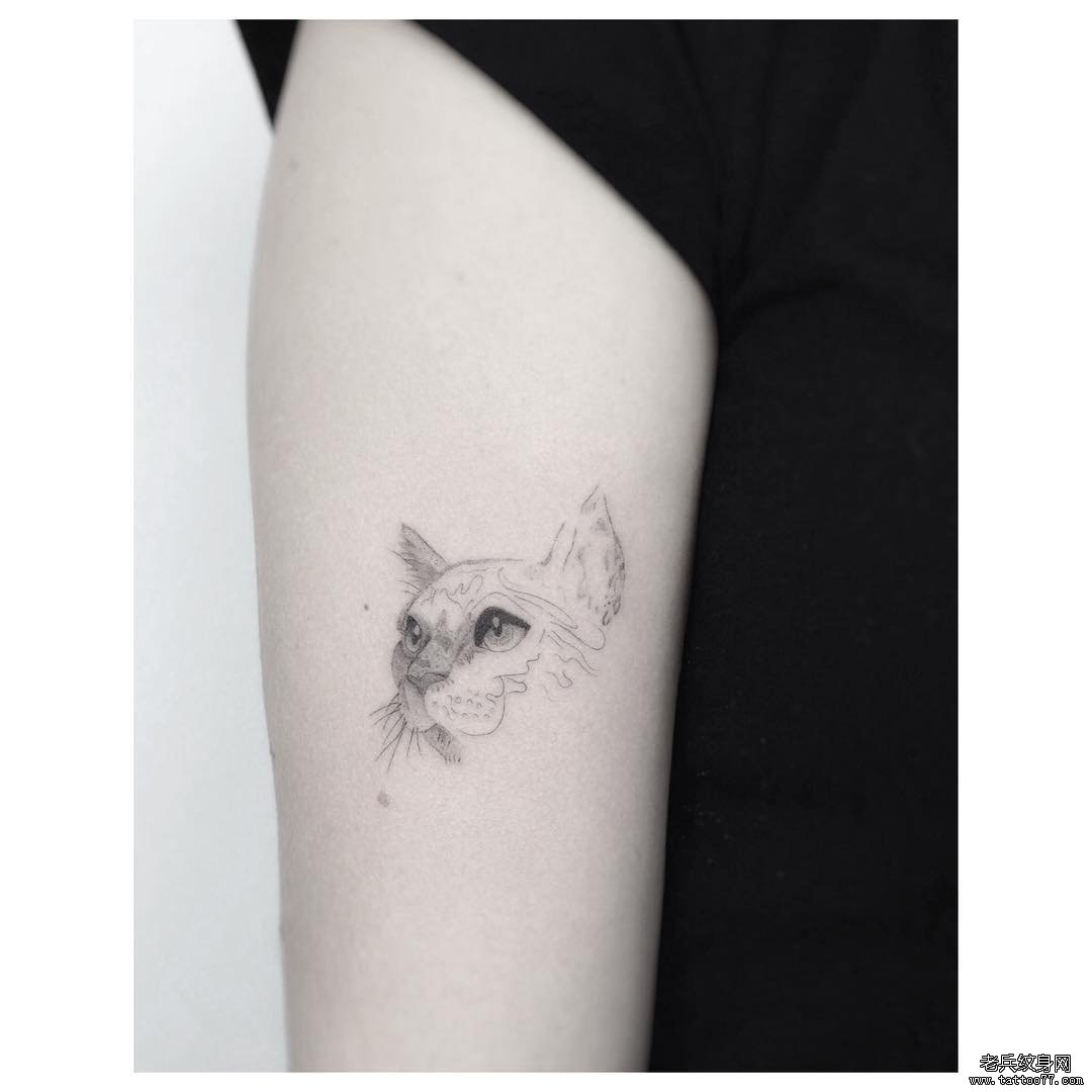 黑灰猫咪头大臂纹身图案