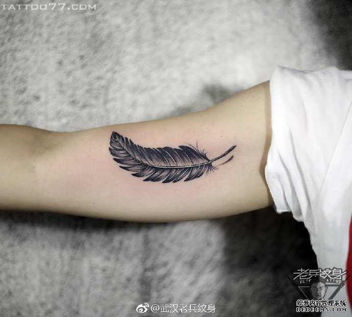 黑灰羽毛大臂tattoo图案